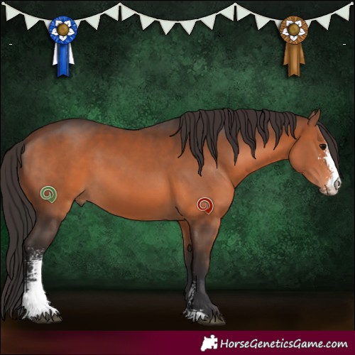 Horse Color:Brown Sabino 
