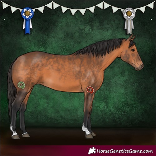 Horse Color:Bay Sabino 