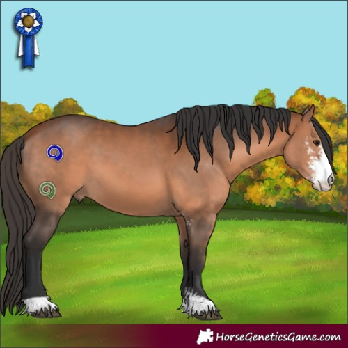 Horse Color:Bay Sabino 