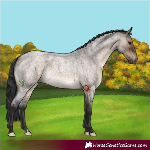 Horse Color:Brown Roan Dun 