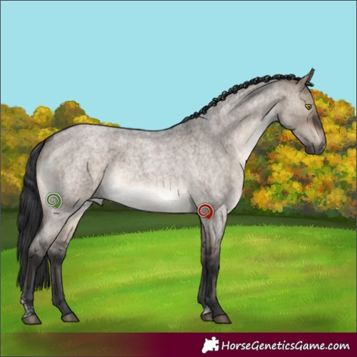 Horse Color:Brown Roan Dun Sabino 