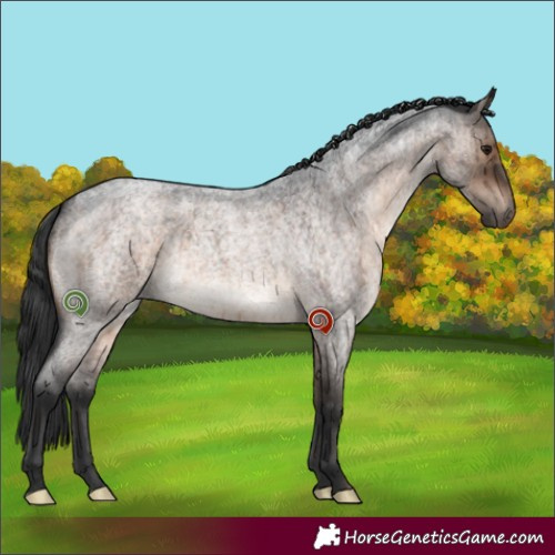 Horse Color:Brown Roan Dun Brindle 