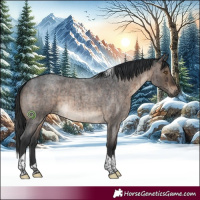 Horse Color:Brown Roan Dun Tobiano Brindle 