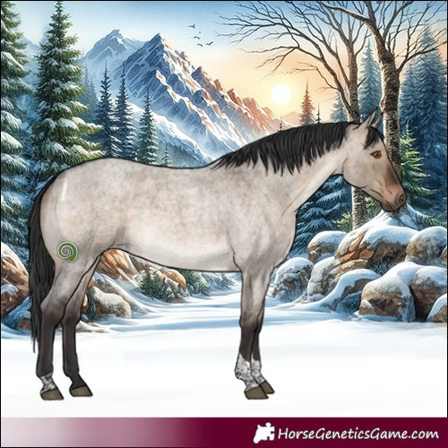 Horse Color:Brown Roan Dun Tobiano