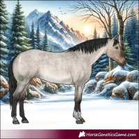Horse Color:Brown Roan Dun Tobiano