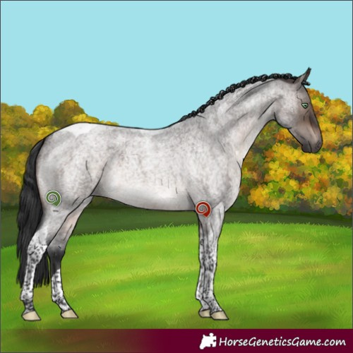 Horse Color:Brown Roan Dun Mushroom Tobiano Brindle 
