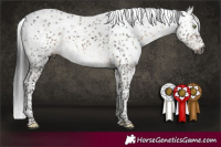 Horse Color:Gray Brown Dun Mushroom Sabino Brindle