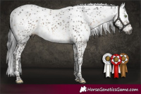 Horse Color:Gray Brown Dun Mushroom Sabino Brindle 