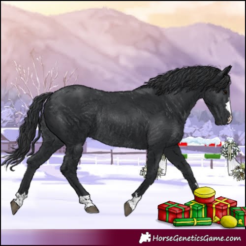 Horse Color:Black Rabicano 