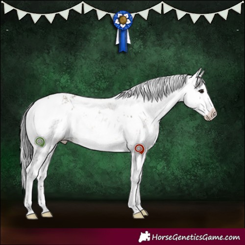 Horse Color:White Spotted Brown Dun Sabino 