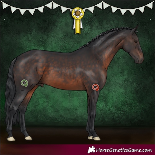 Horse Color:Brown 