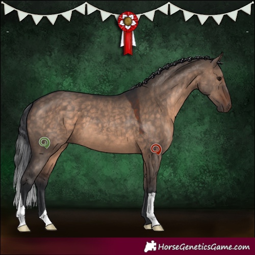 Horse Color:Brown Dun 