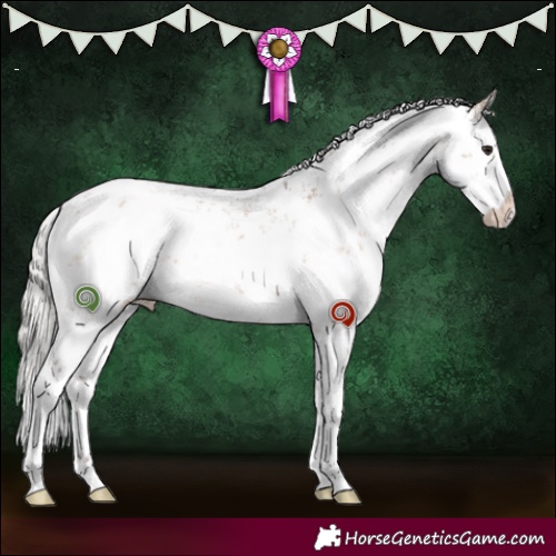 Horse Color:White Spotted Silver Brown Dun Sabino 