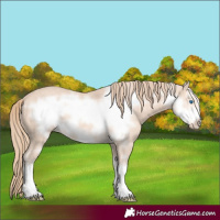 Horse Color:White Spotted Perlino Frame