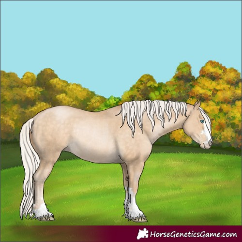 Horse Color:Silver Buckskin Pearl Rabicano