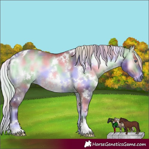 Horse Color:Nacre White Spotted Chocolate Silver Bay Chinchilla Onyx 