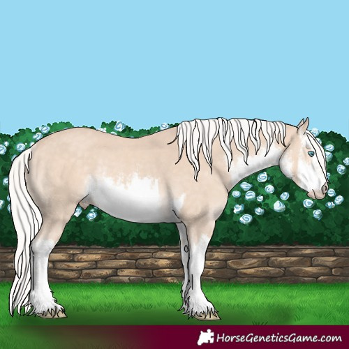 Horse Color:White Spotted Silver Perlino Rabicano 