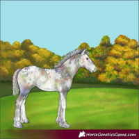 Horse Color:Nacre Silver Bay Chinchilla Ice Onyx Tobiano 