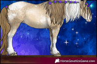 Horse Color:White Spotted Buckskin Pearl Tobiano 