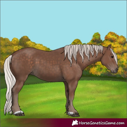 Horse Color:Silver Black 