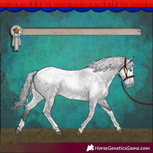 Horse Color:Gray Blue Roan Tobiano Blanket 
