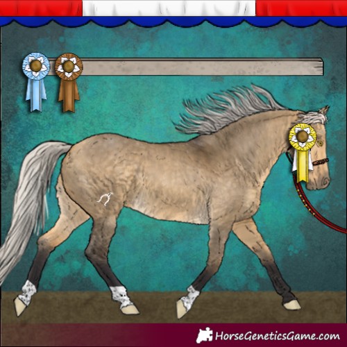 Horse Color:Silver Buckskin Dun 