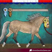Horse Color:Silver Buckskin Dun