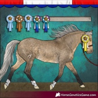 Horse Color:Silver Buckskin Dun 
