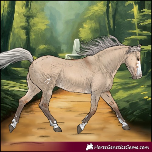 Horse Color:Silver Bay Dun 