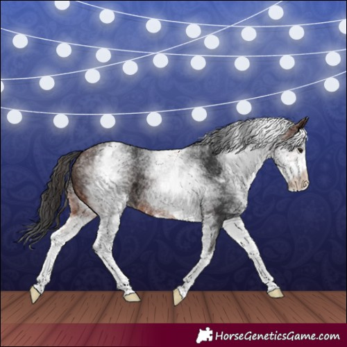Horse Color:White Spotted Brown 