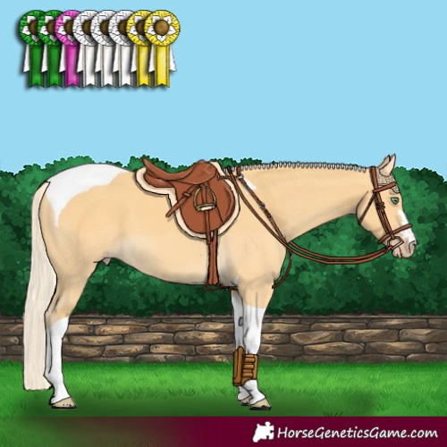 Horse Color:Gold Cream Champagne Tobiano 