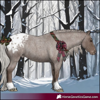 Horse Color:Silver Blue Roan Appaloosa 