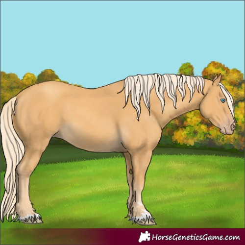 Horse Color:Unknown 