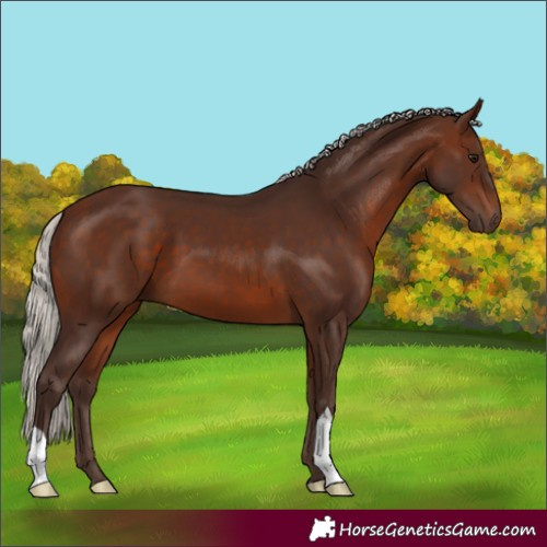Horse Color:Silver Brown 