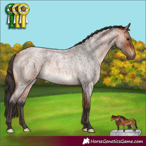 Horse Color:Bay Roan Rabicano 