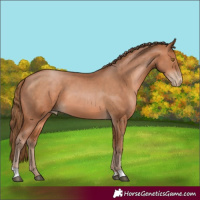 Horse Color:Brown Pearl 