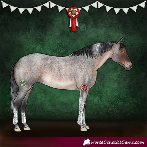 Horse Color:Brown Roan Tobiano 