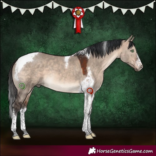 Horse Color:White Spotted Brown Dun Mushroom Tobiano 