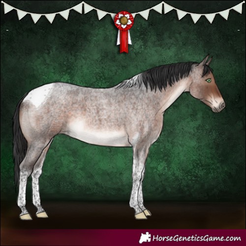 Horse Color:Brown Roan Mushroom Tobiano 