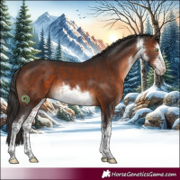 Horse Color:White Spotted Brown 