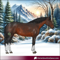 Horse Color:White Spotted Brown 