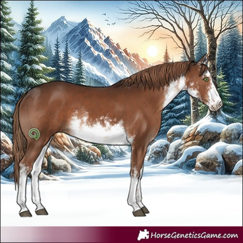 Horse Color:White Spotted Liver Chestnut 