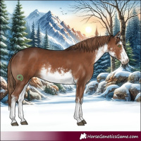 Horse Color:White Spotted Liver Chestnut 