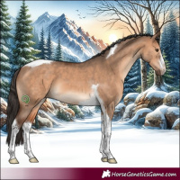 Horse Color:White Spotted Bay Dun Tobiano 