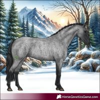Horse Color:Blue Roan 
