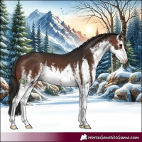 Horse Color:White Spotted Brown 