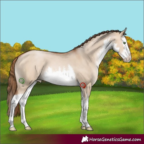 Horse Color:White Spotted Brown Pearl Dun Splash 