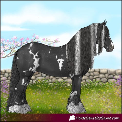 Horse Color:White Spotted Black Varnish