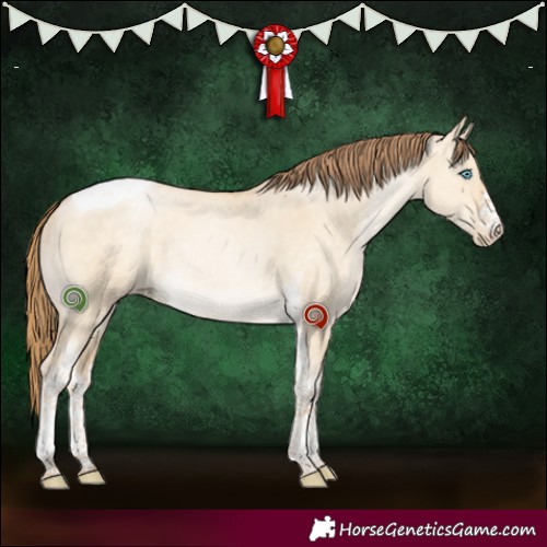 Horse Color:White Spotted Buckskin Pearl Dun Tobiano Rabicano 