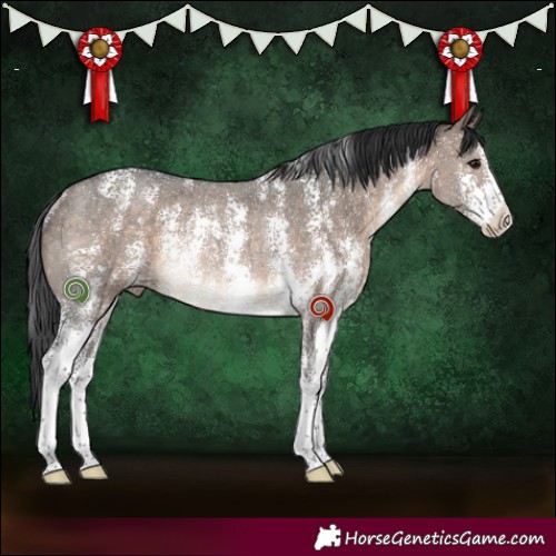 Horse Color:Brown Dun Sabino Rabicano 